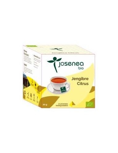 Jengibre-Citrus 10Piramides Ensobradas Bio de Josenea