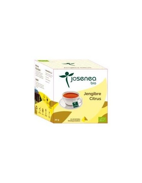 Jengibre-Citrus 10Piramides Ensobradas Bio de Josenea