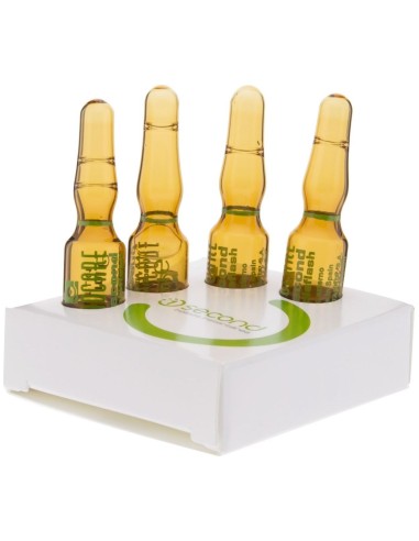 Endocare 1 Second Triple Flash 4Amp. de Endocare