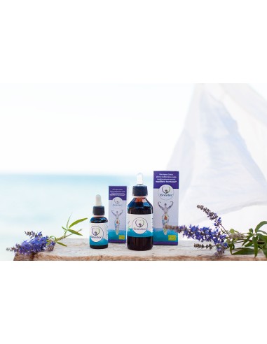 Complemento Alimenticio Ginevitex Eco Natural 100 ml