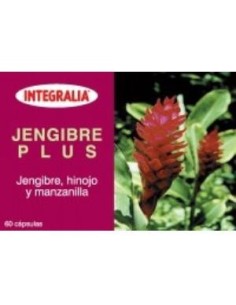Jengibre Plus 60Cap.