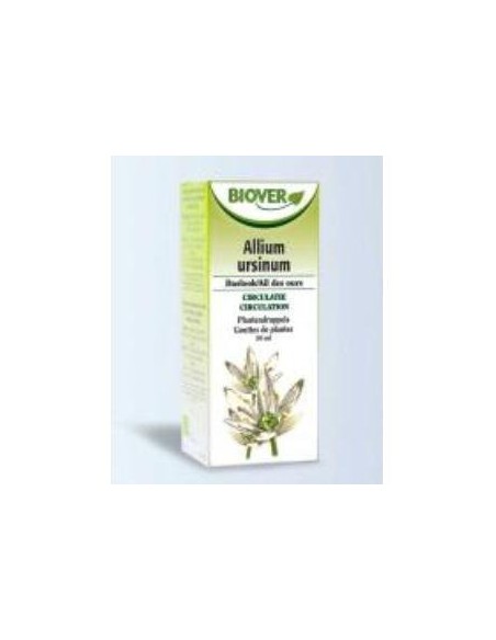 Tintura Ajo silvestre-Allium ursinum Bio 50ml Biover