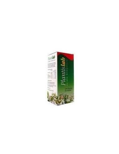 Plantislab Eco (Digestivo) Jarabe 250Ml. de Artesania