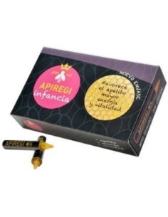 Apiregi Infancia 20Viales de Artesania