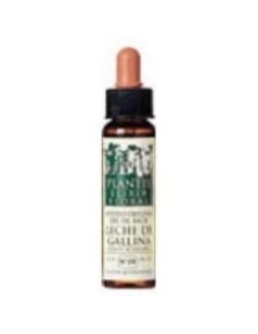 Wild Oat Plantis Flores De Bach Nº 36 10Ml. de Artesania
