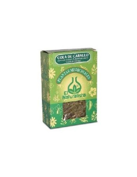 Cola De Caballo Planta 40 Gramos El Naturalista