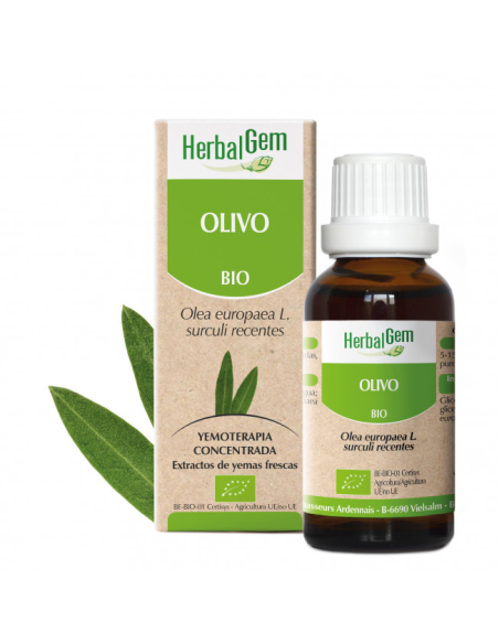 Olivo Bio 50 Ml de Herbalgem
