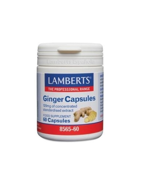 Pack de 2ud Ginger 12000Mg. Jengibre 60Cap. de Lamberts