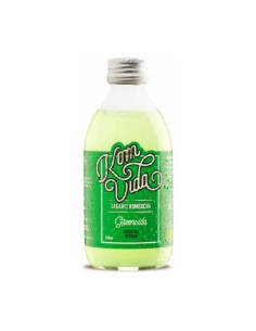 Kombucha Té Verde (Greenvida) Bio 250ml Komvida