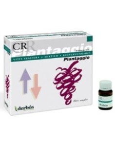 Pack de 2 uds Plantaggio Cr 20Amp. de Derbos