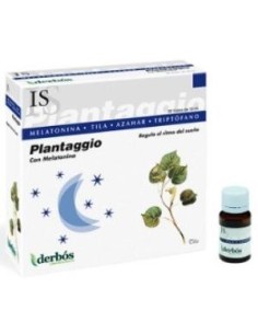 Pack de 2 uds Plantaggio Is 20Amp. de Derbos