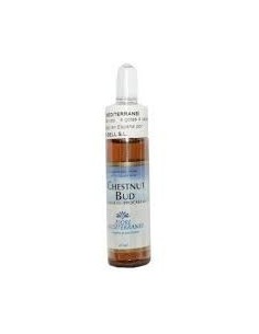 Fiori Mediterranei Chestnut Bud 10 Ml de Forza Vitale