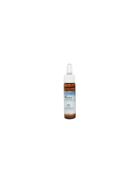 Fiori Mediterranei Gorse 10 Ml de Forza Vitale