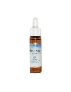 Fiori Mediterranei Mustard 10 Ml de Forza Vitale
