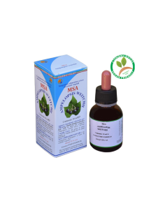 Msa Ampelopsis Weitchii Jóvenes Brotes (Hiedra  de Herboplanet