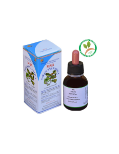 Msa Fagus Sylvatica  Yemas (Faya) de Herboplanet