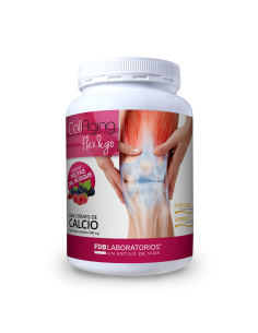 Collaging Flex & Go  Frutas del Bosque de Fdb