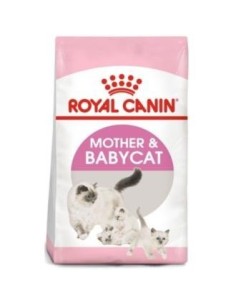 Royal Feline Babycat 34 2 Kilos Royal Canin Vet