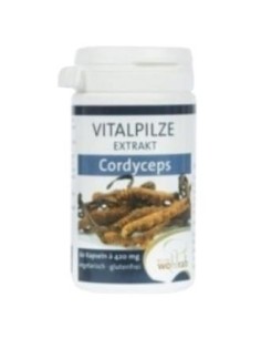 Cordyceps 60 Cápsulas  Pilze Wolhrab