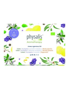 Galleta de Jengibre con Chocolate de Belsi