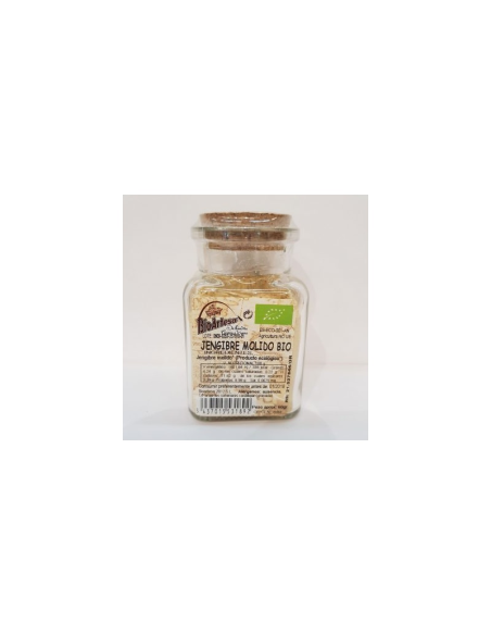 Jengibre molido 60g Bioartesa