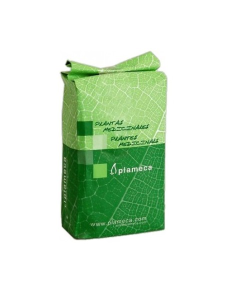 Cardo Mariano Planta Trit 1 Kg De Plameca