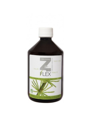 Z-FLEX ECO 500 ml. de Mint-E Health Laboratories