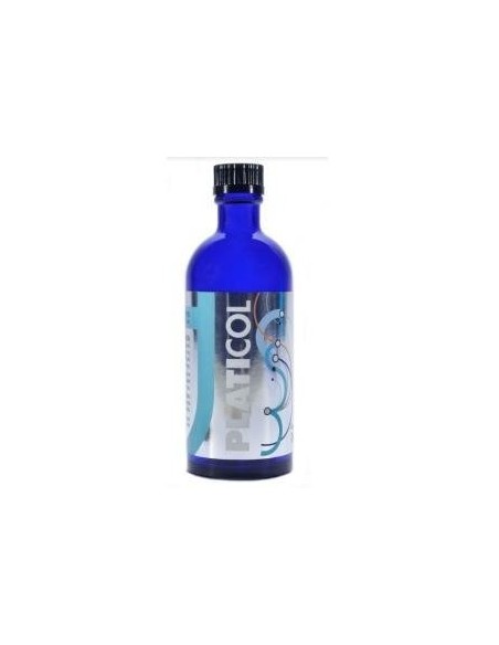 Platicol 100Ml. de Artesania
