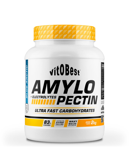 Amylopectin + Electrolytes 2 Kg  Blue Artic de Vit.O.Best
