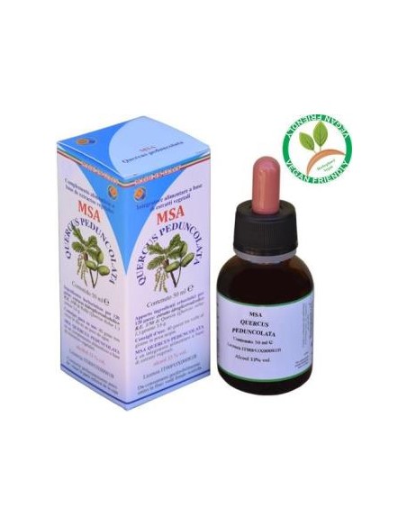 Msa Quercus Peduncolata Yemas ( Roble) 50 Ml de Herboplanet