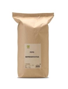 Ginkgo Biloba 1 Kg. de Naturcid