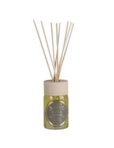 Ambientador Mikado Mikperf26 Clove-Orange 100Ml. de Cerabella