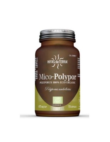 Mico Polypor (Polyporus) Hdt 70Cap. de Hifas Da Terra