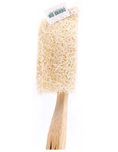 Funda Protectora de Luffa para Cepillo Dental