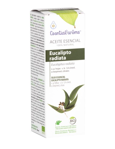 Aceite Esencial de Eucalipto Radiata Bio