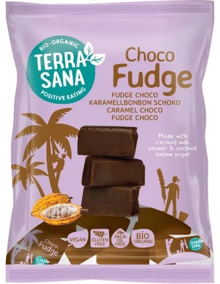 Fudge Choco Terrasana 150 g