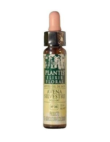 Elixir Floral Avena Silvestre (Wild oat) Nº 36