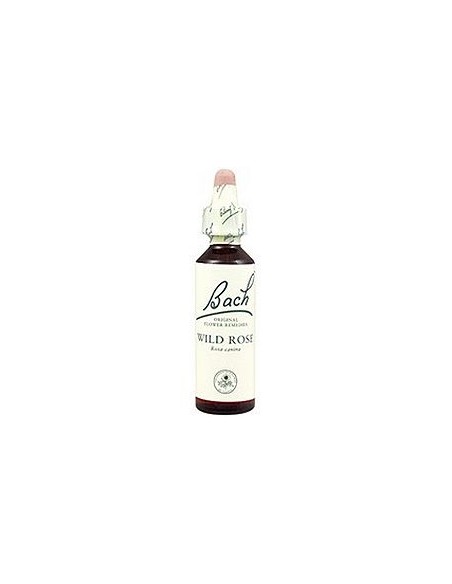 Flores Bach Wild Rose Rosa Silvestre 20Ml. de Flores Bach Or