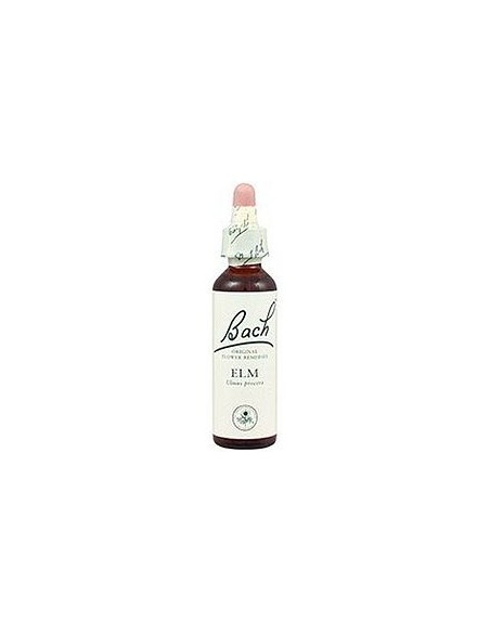 Elm nº 11