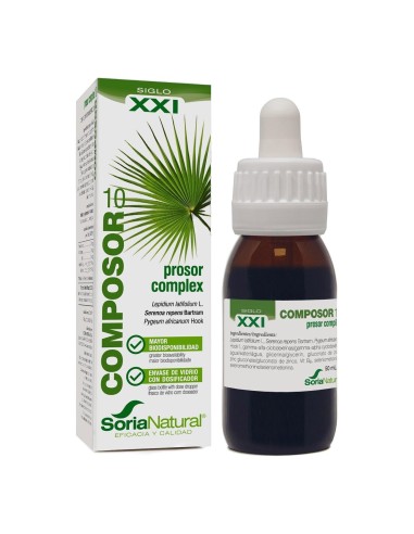 Composor 10 - Prosor Complex XXI