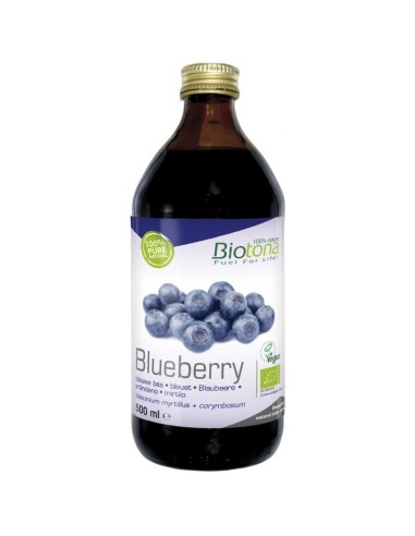 Jugo Blueberry / Arandano