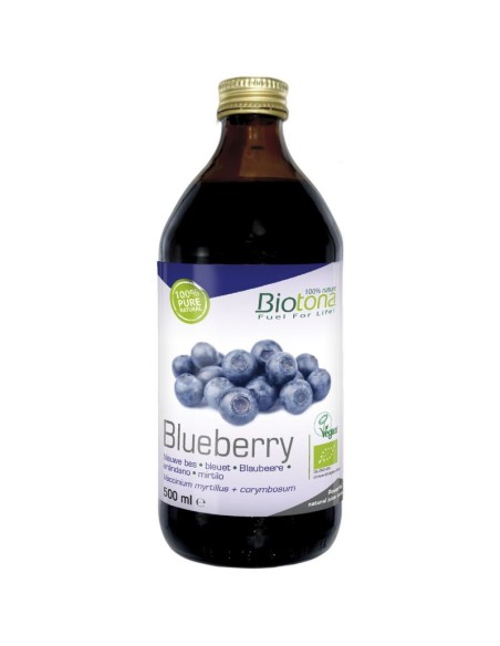 Jugo Blueberry / Arandano