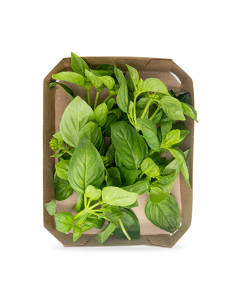 Pack 4x3  Albahaca Bolsa 40G Plantis de Artesania