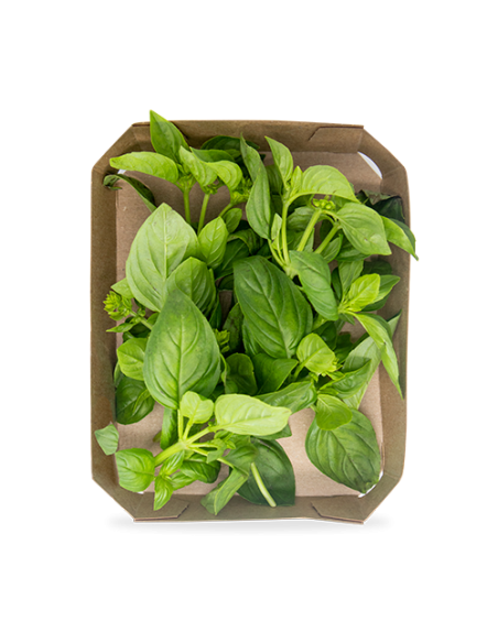 Pack 4x3  Albahaca Bolsa 40G Plantis de Artesania