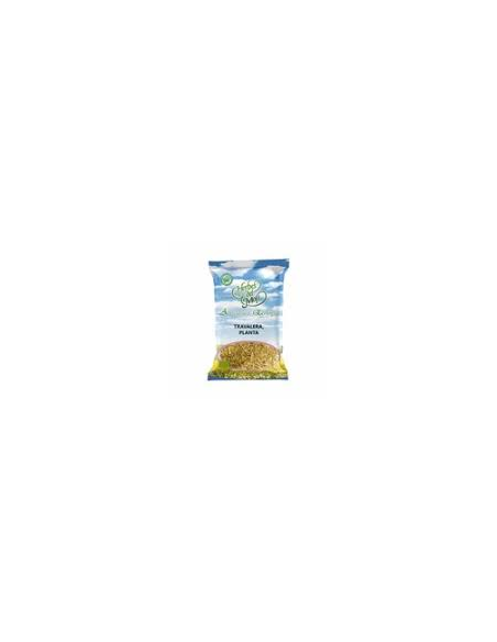 Pack 4x3 Olivo Hoja Bolsa 40 G de Artesania