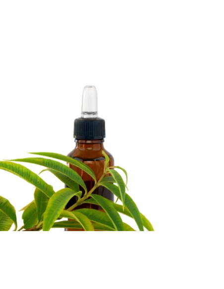 Pack 4x3 Llanten Hoja Bolsa 40g Planti Artesanía Natural