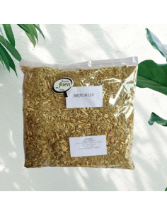 Artemisa 100Gr de Pinisan Mb
