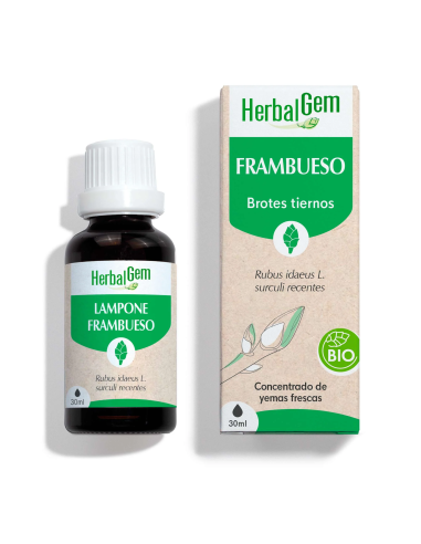 Frambueso Bio 30 Ml de Herbalgem