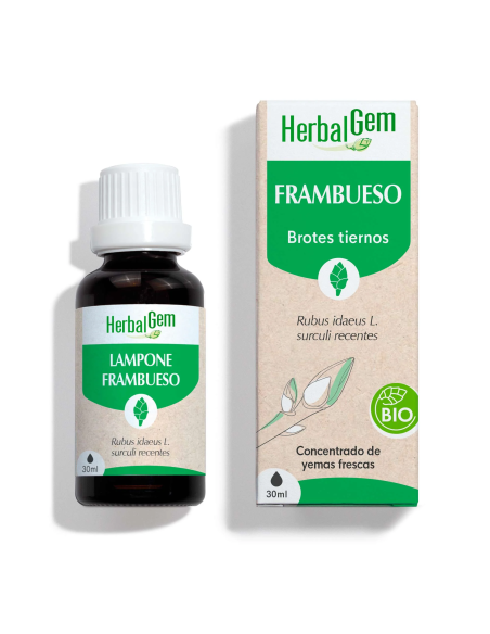 Frambueso Bio 30 Ml de Herbalgem