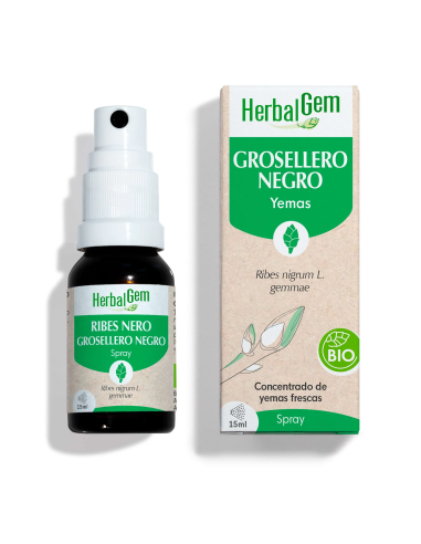 Grosellero Negro Bio Spray 15 Ml de Herbalgem